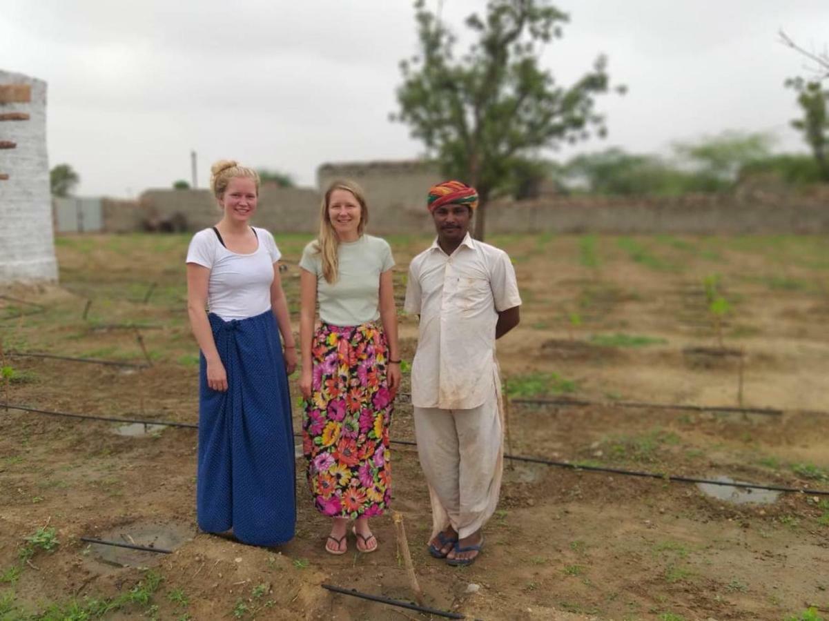 Bishnoi Village Home Stay Jodhpur  Eksteriør bilde